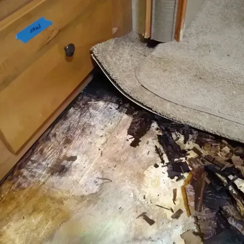 Wood Floor Water Damage in Livingston, AL